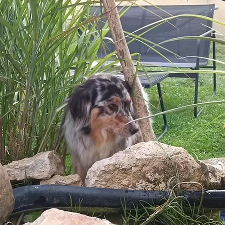 Chez Celine En Campagne *